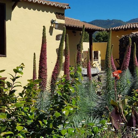 Villa Ismail à El Paso Extérieur photo